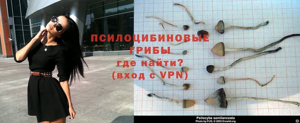 a pvp Нязепетровск