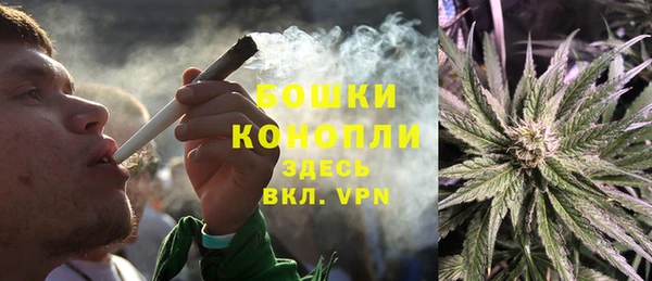 ALPHA PVP Няндома