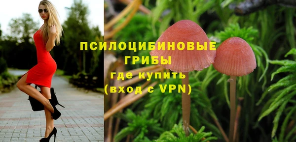 стаф Болохово